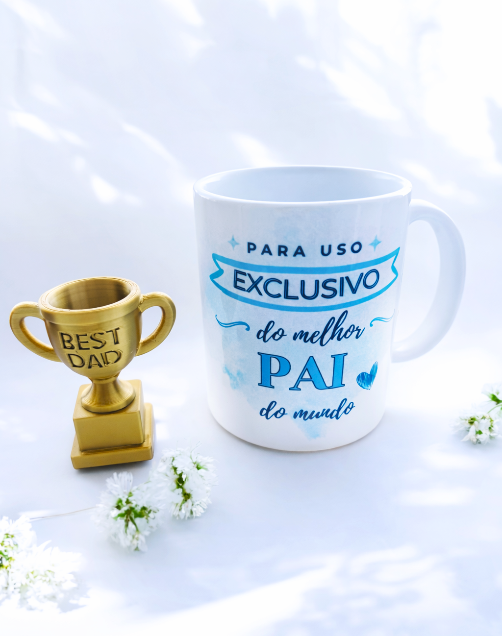 Box "Uso Exclusivo do Melhor Pai"