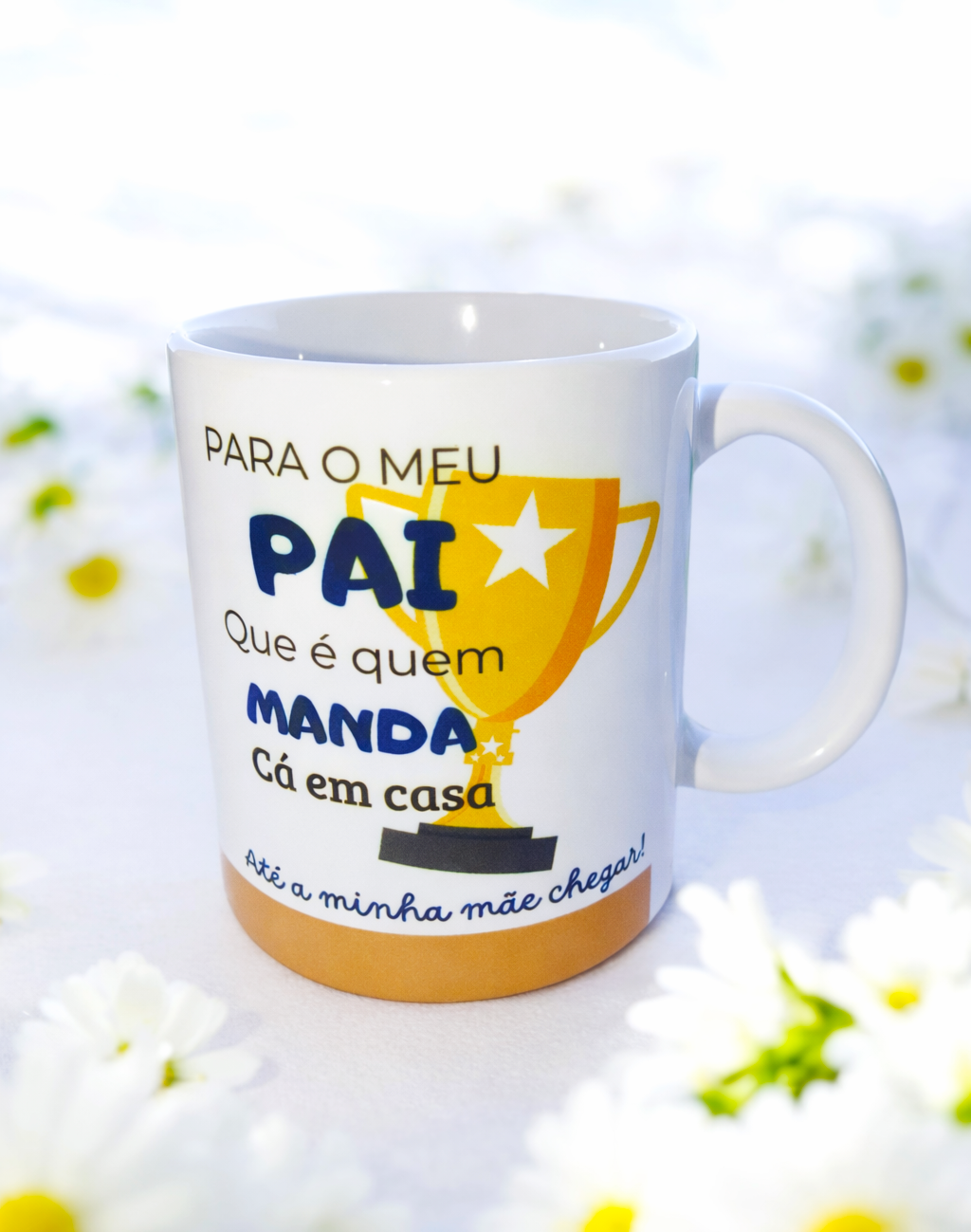 Box "Quem Manda Lá em Casa"
